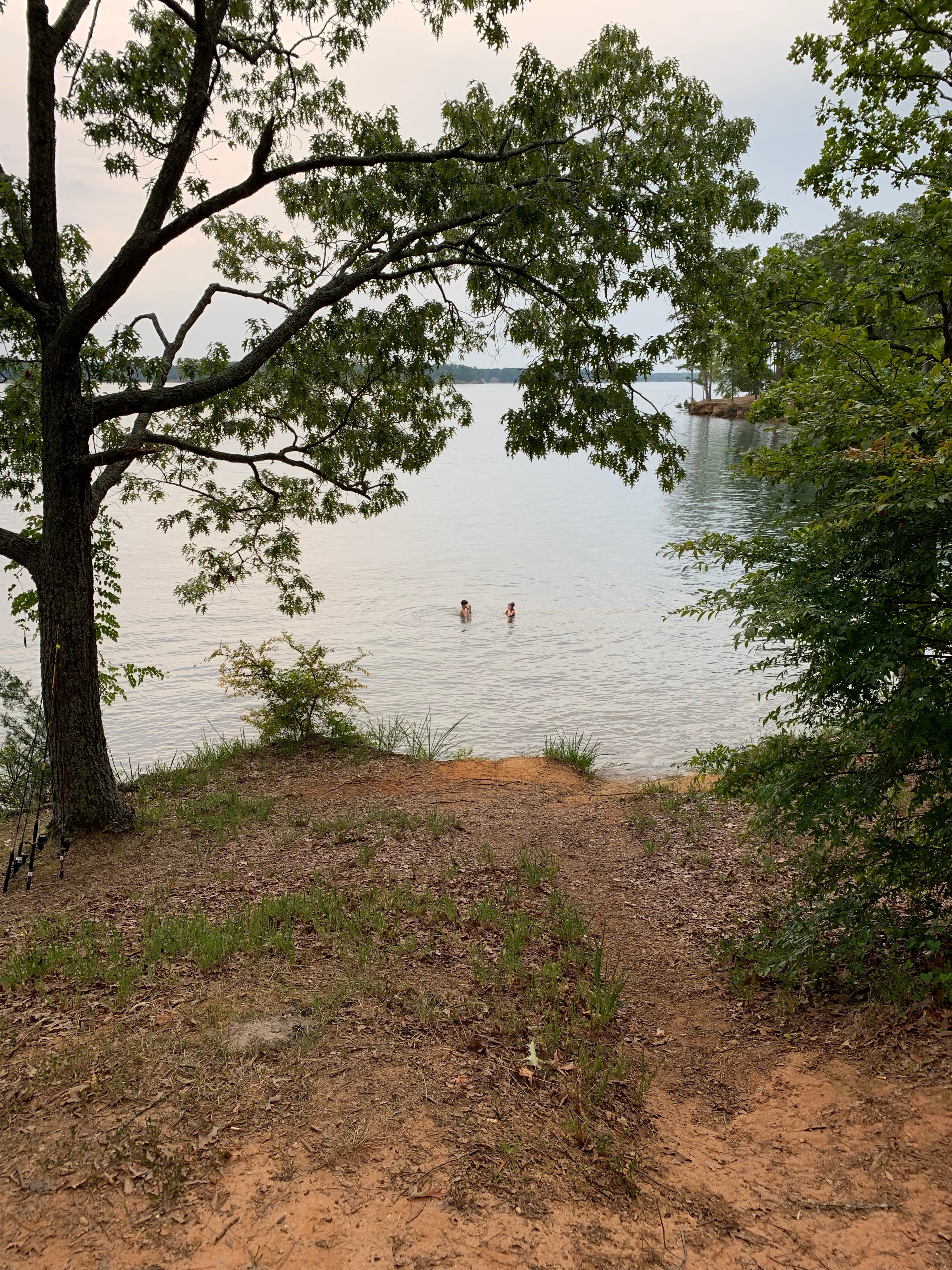 Camper submitted image from Lake Greenwood State Park Campground - 5