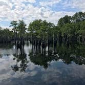 Review photo of George L Smith II State Park Campground by Scott S., August 8, 2019