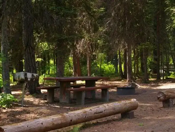 Camper-submitted photo at Rainbow Point near Yellow Pine, ID