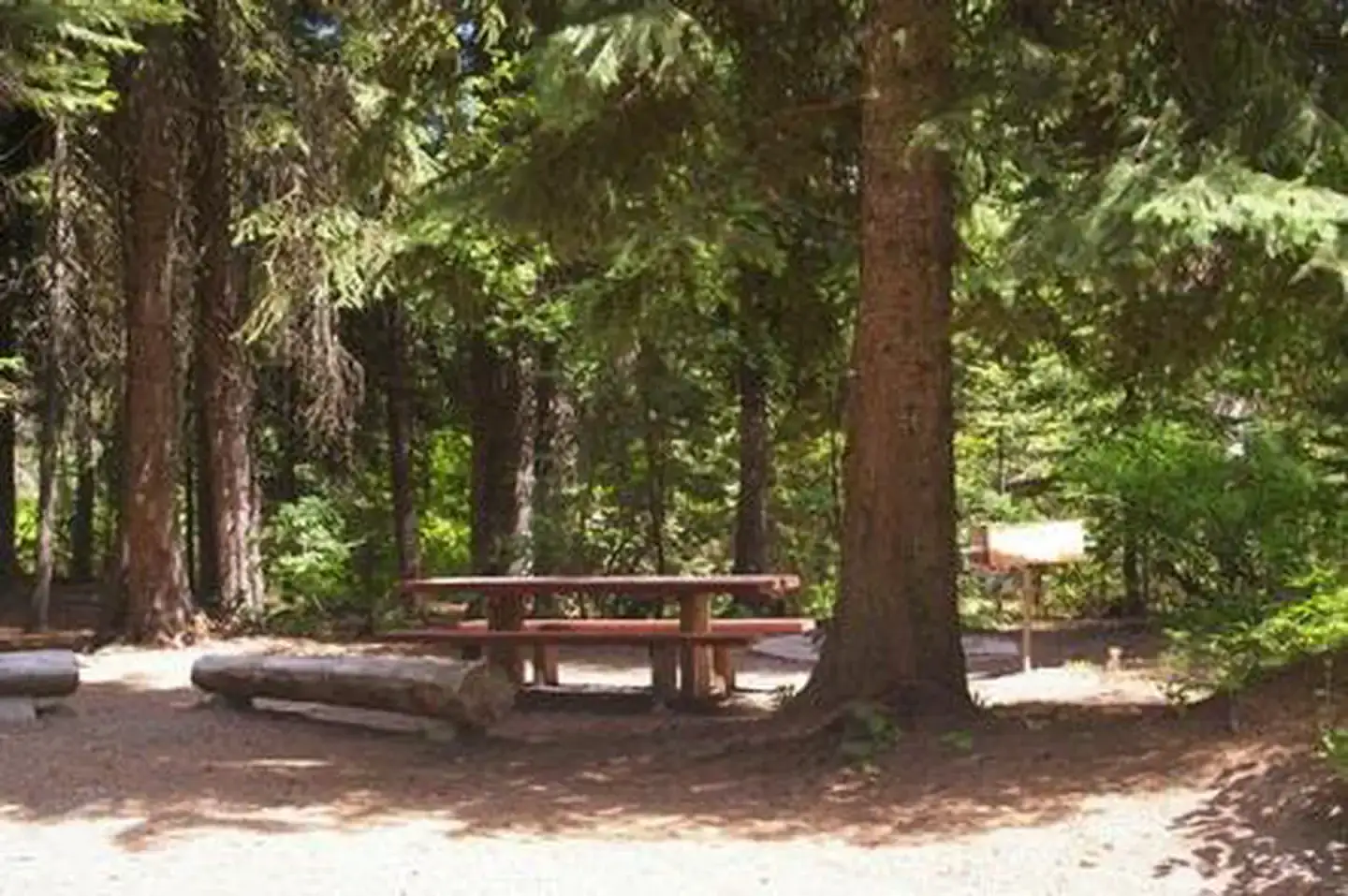 Camper-submitted photo at Rainbow Point near Yellow Pine, ID