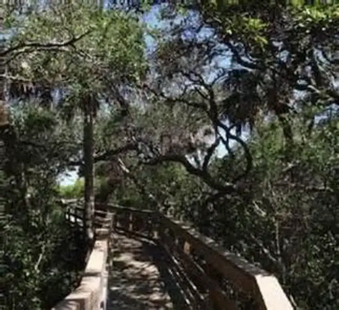 Camper-submitted photo at Canaveral National Seashore near New Smyrna Beach, FL