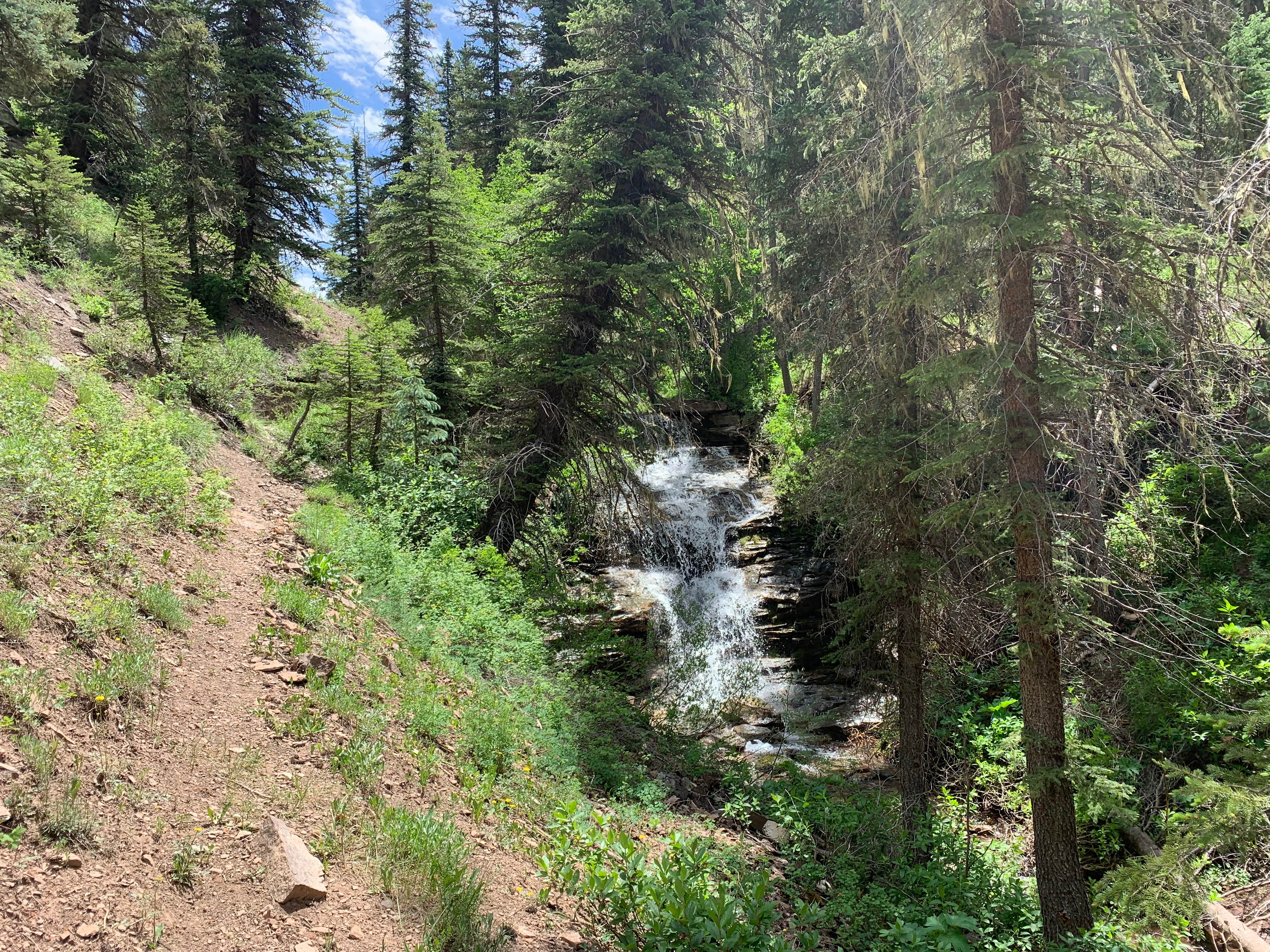 Camper-submitted photo at Hermosa Park Road Dispersed near Rico, CO