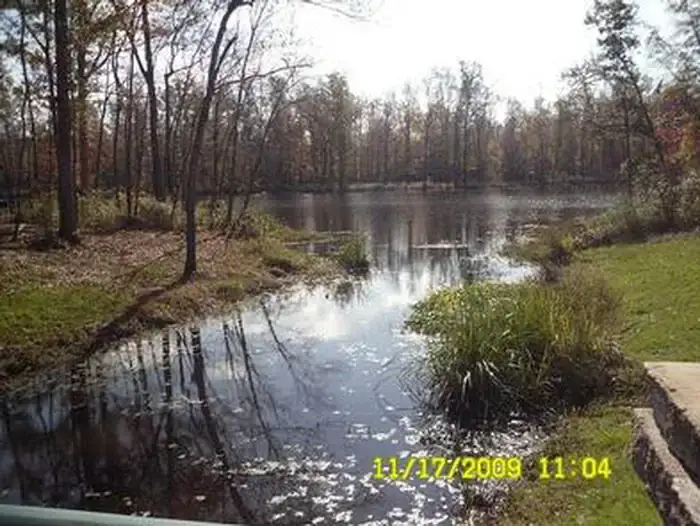 Camper-submitted photo at Jennings Ferry near Marion, AL