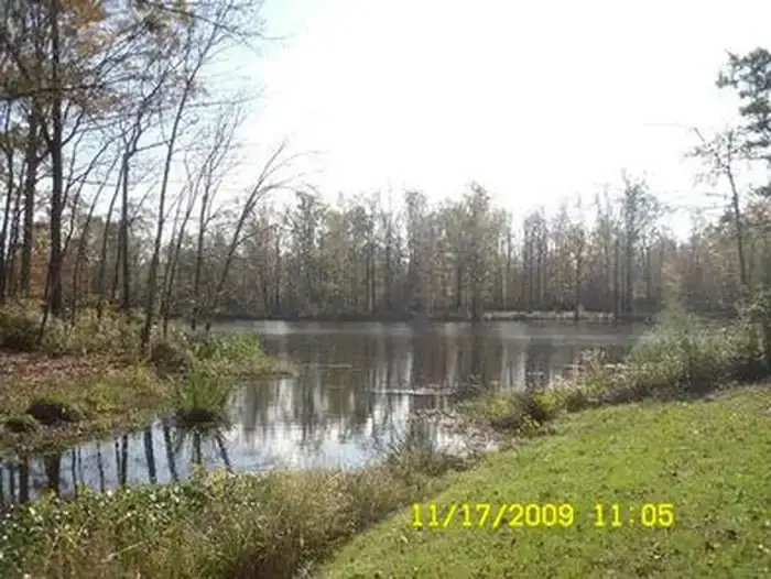 Camper-submitted photo at Jennings Ferry near Marion, AL
