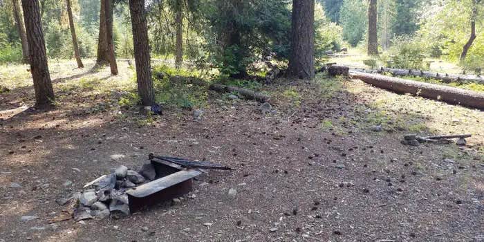 Camper submitted image from Cayuse Horse Camp