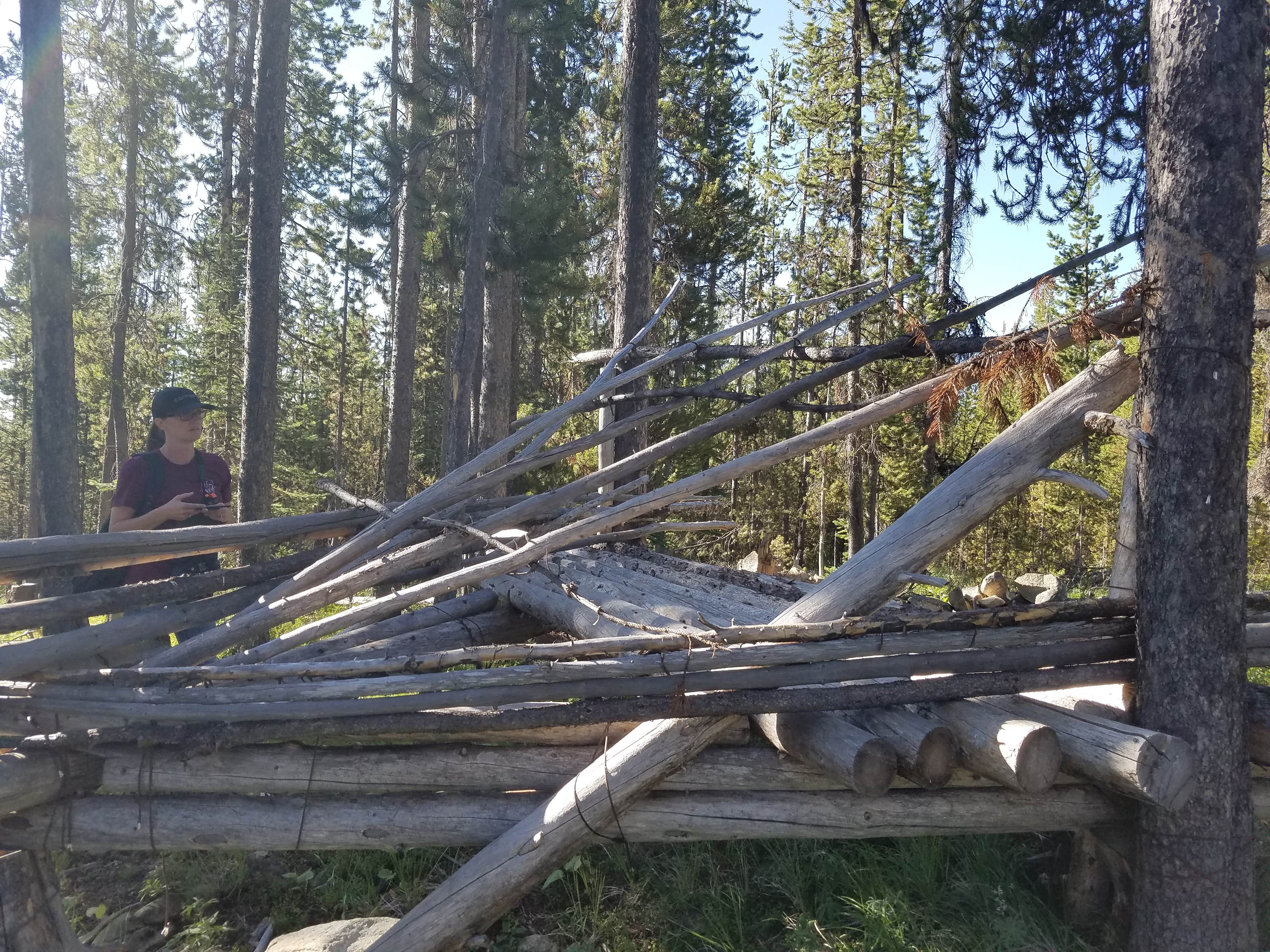 Camper submitted image from Hogan Cabin - 5