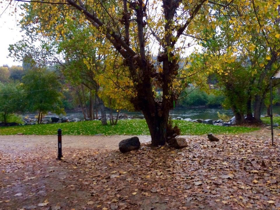 Camper submitted image from Coloma Resort - 5