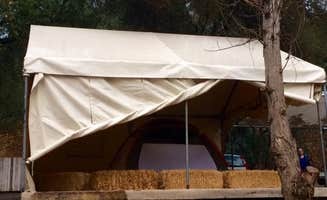 Rosina A.'s photo at Coloma Resort near Carmichael, CA