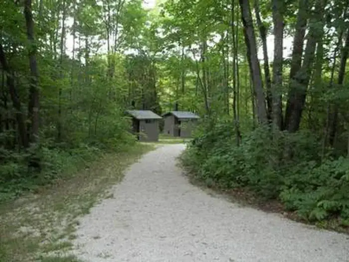 Camping near Pats RV Park: Peterson Bridge, South Branch, Michigan
