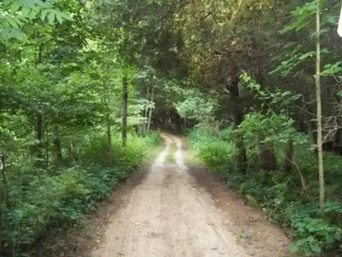 Camper-submitted photo at Peterson Bridge near Mesick, MI