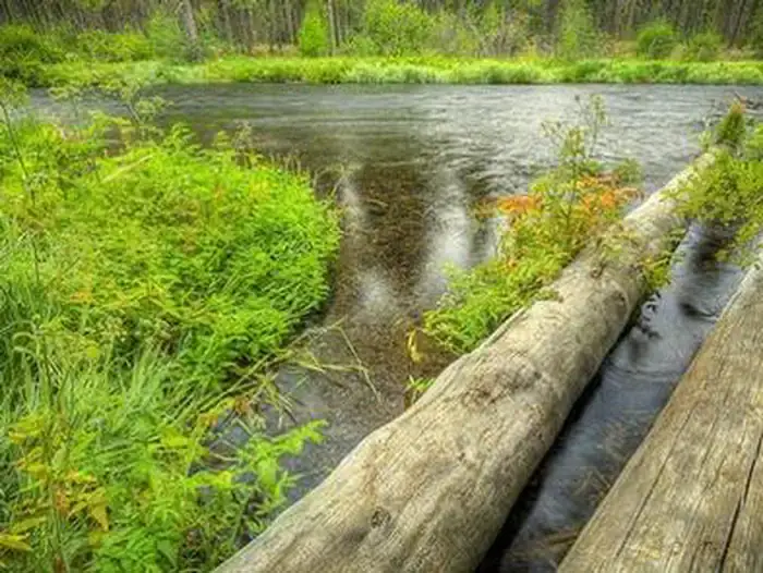 Camping near Blue Bay: Camp Sherman Campground, Camp Sherman, Oregon