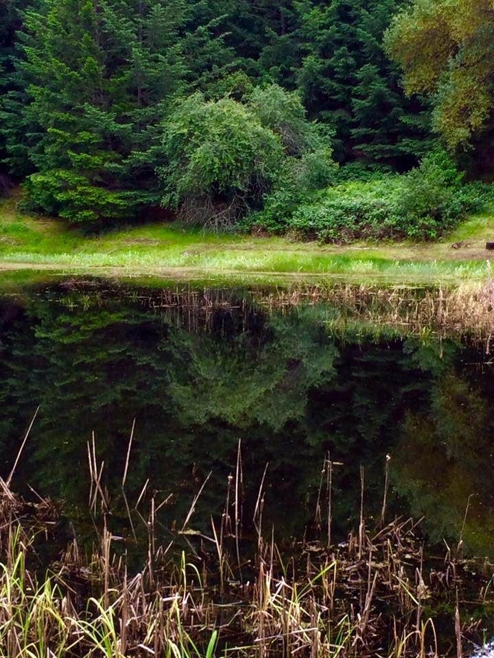 Camper-submitted photo at Bullfrog Pond Campground - TEMPORARILY CLOSED near Fulton, CA
