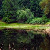 Review photo of Bullfrog Pond Campground - TEMPORARILY CLOSED by Rosina A., August 8, 2019