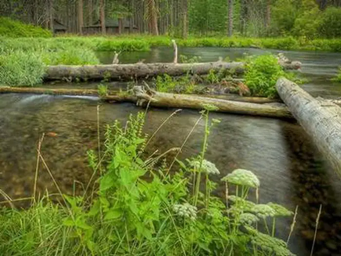 Camper-submitted photo at Camp Sherman Campground near Camp Sherman, OR