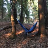 Review photo of Bullfrog Pond Campground - TEMPORARILY CLOSED by Rosina A., August 8, 2019