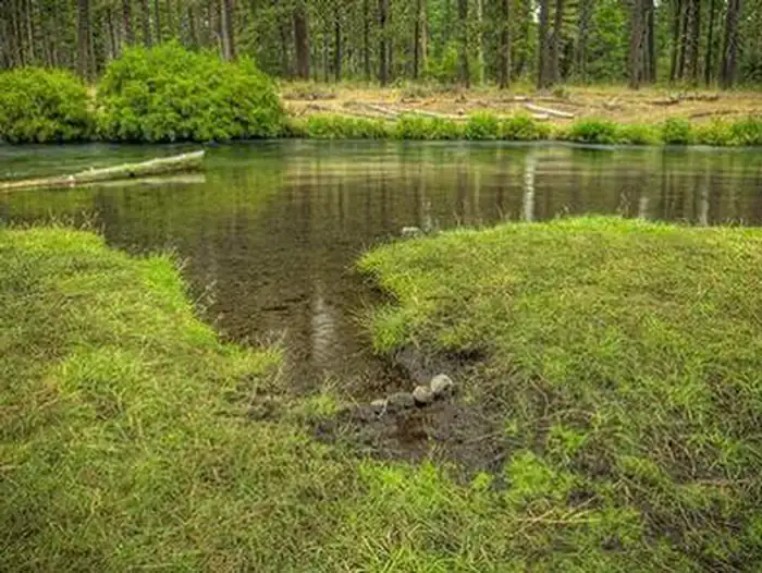 Camper-submitted photo at Camp Sherman Campground near Camp Sherman, OR