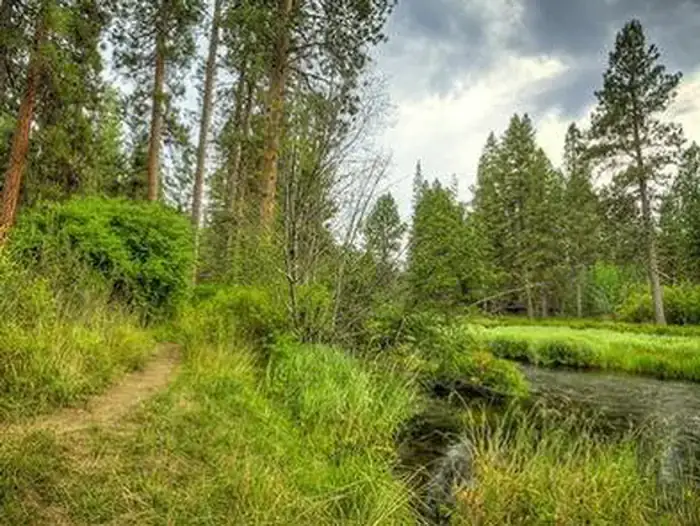 Camper-submitted photo at Camp Sherman Campground near Camp Sherman, OR