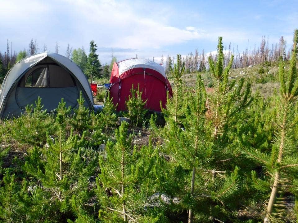 Camper submitted image from Big Creek Lakes Campground - 5