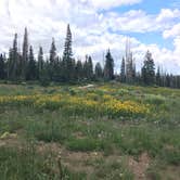 Review photo of Point Supreme Campground — Cedar Breaks National Monument by Marisa C., August 8, 2019