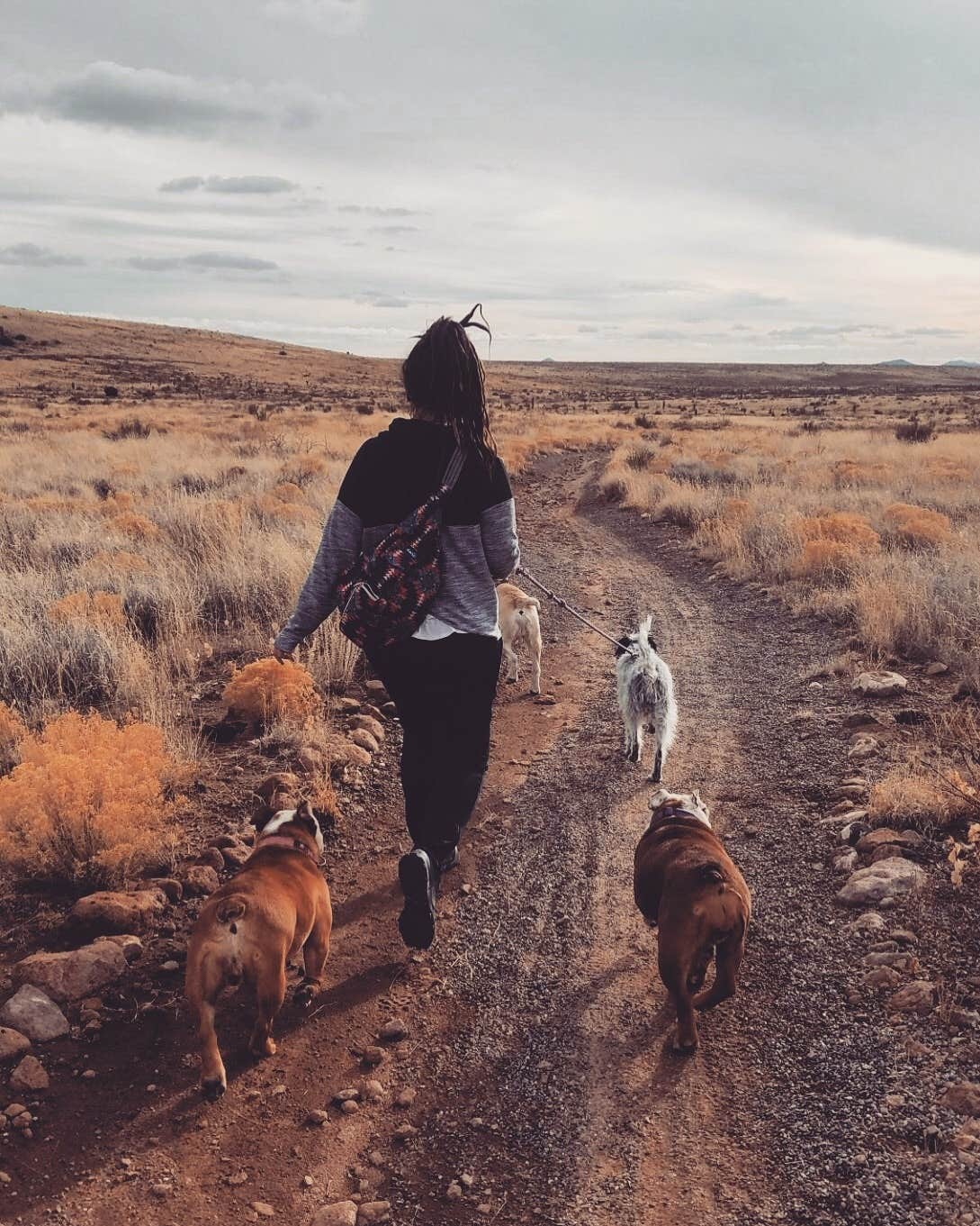 Charlene H.'s photo of camping with pets at City of Rocks State Park Campground near Mimbres, NM