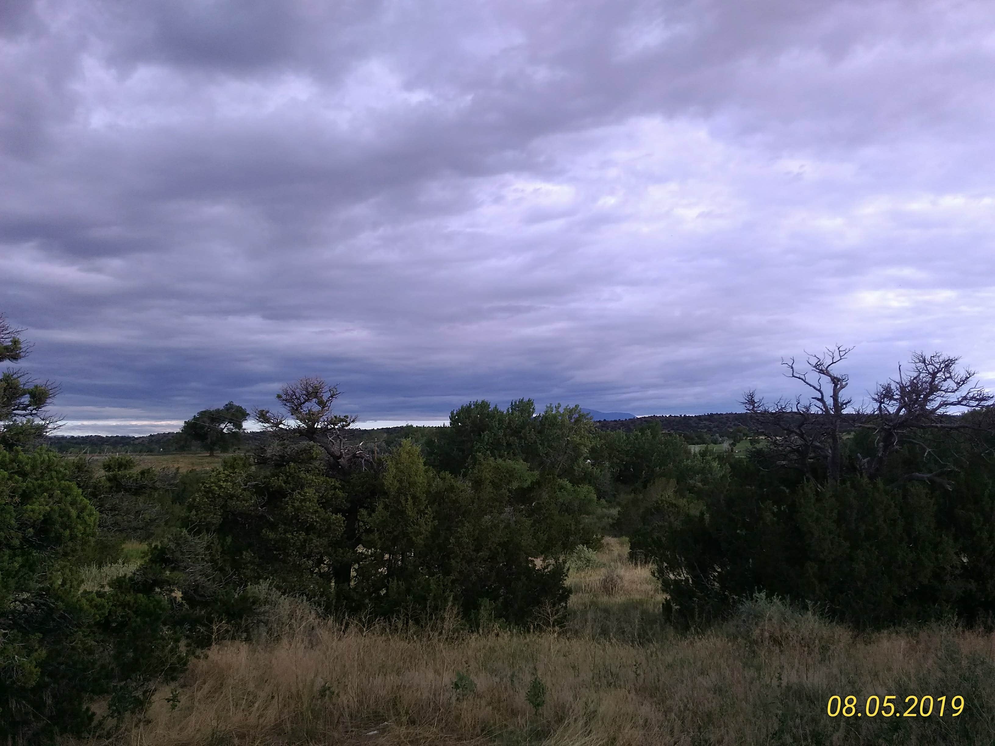 Camper submitted image from Yucca Campground — Lathrop State Park - 2