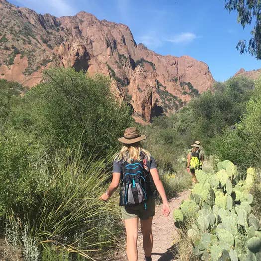Chisos Basin Campground (Big Bend, Tx) — Big Bend National Park