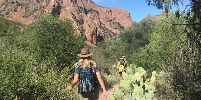 Camper submitted image from Chisos Basin Campground (Big Bend, Tx) — Big Bend National Park