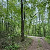 Review photo of Long Hungry Road Dispersed Campsites by David R., October 25, 2025