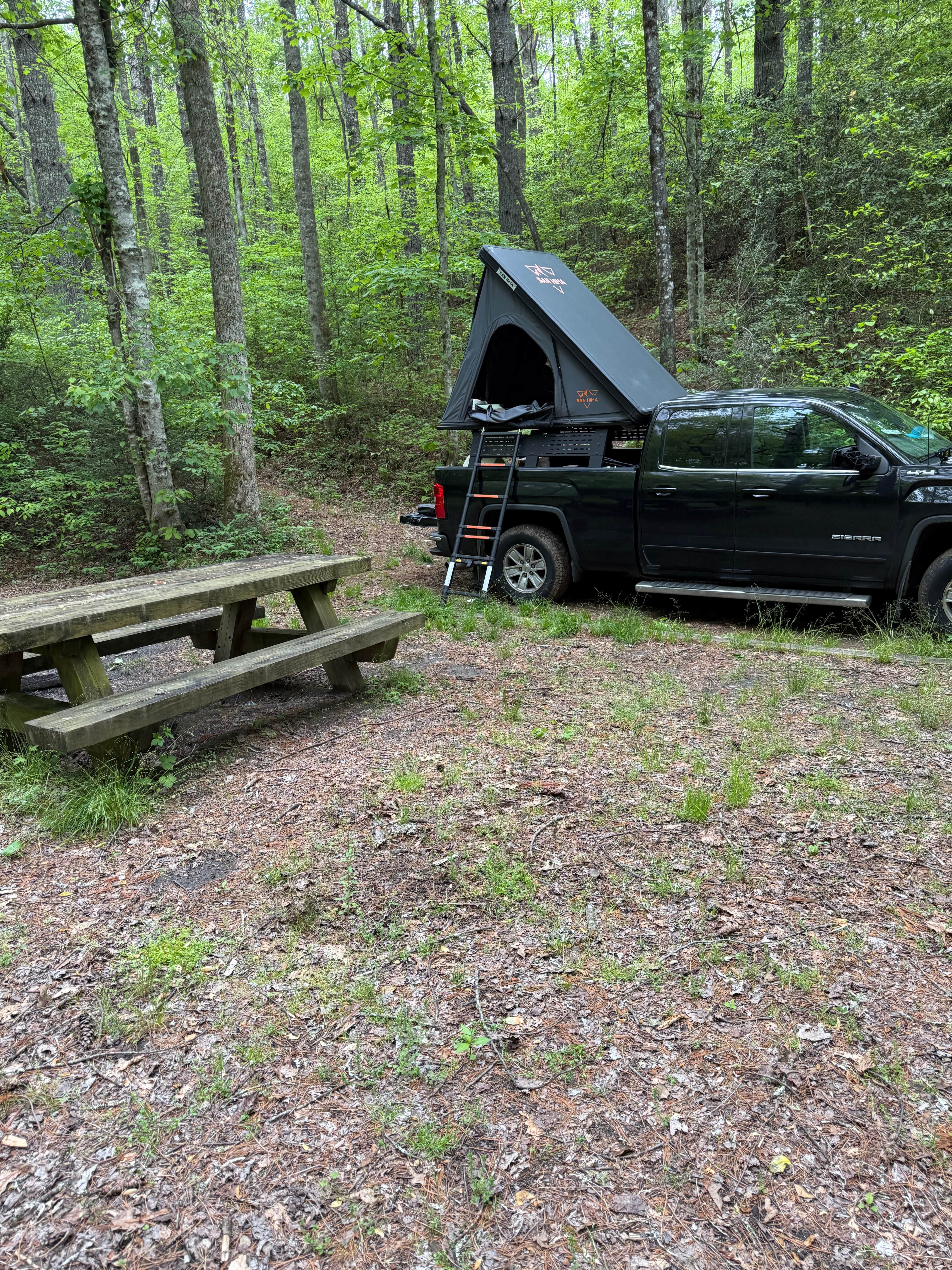 David R.'s photo of a dispersed camping area at Long Hungry Road Dispersed Campsites near Tellico Plains, TN