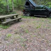 Review photo of Long Hungry Road Dispersed Campsites by David R., October 25, 2025