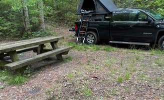 David R.'s photo of a dispersed camping area at Long Hungry Road Dispersed Campsites near Topton, NC