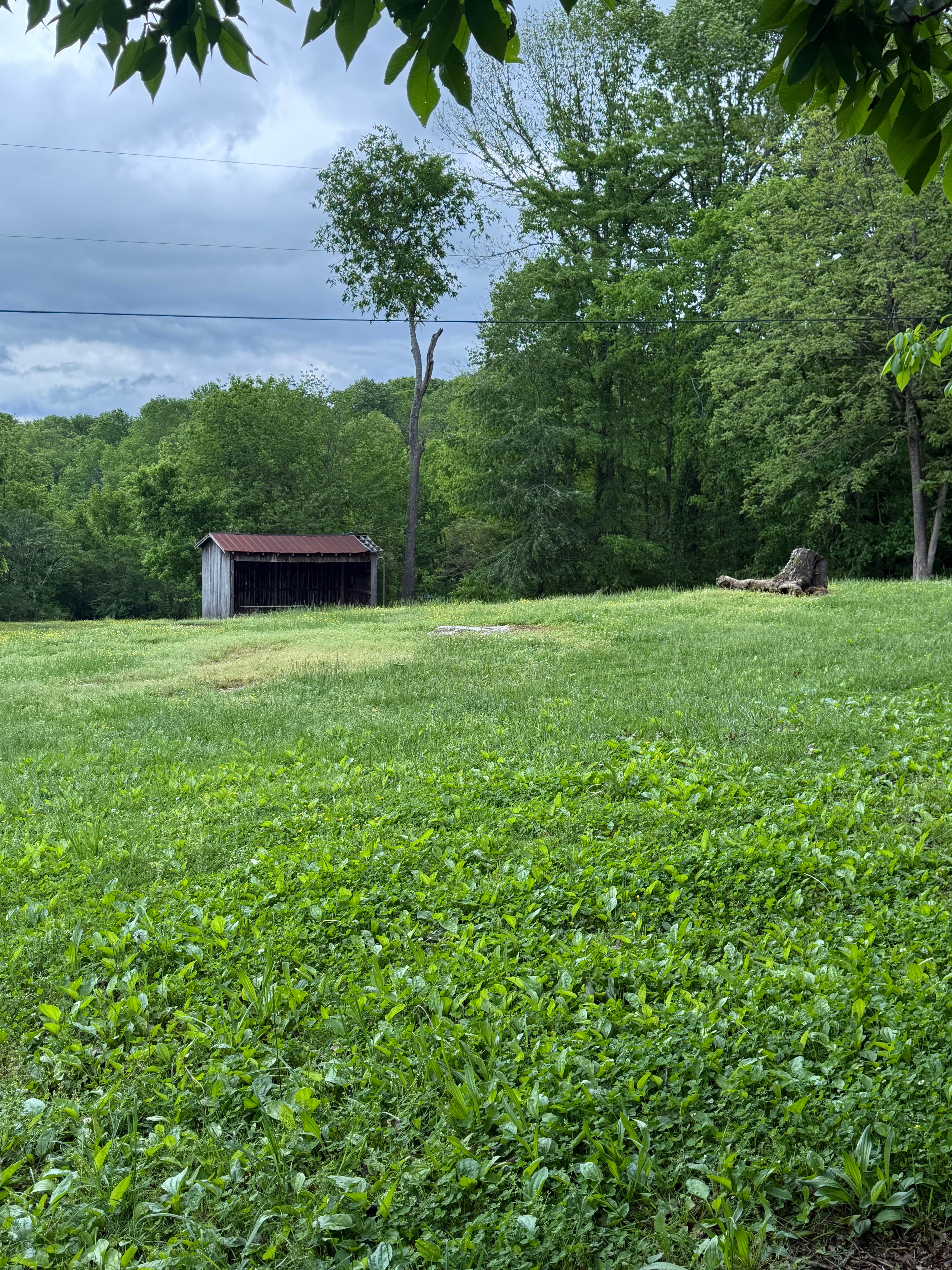 Camper-submitted photo at Holleman's Bend Camping Area near Carthage, TN