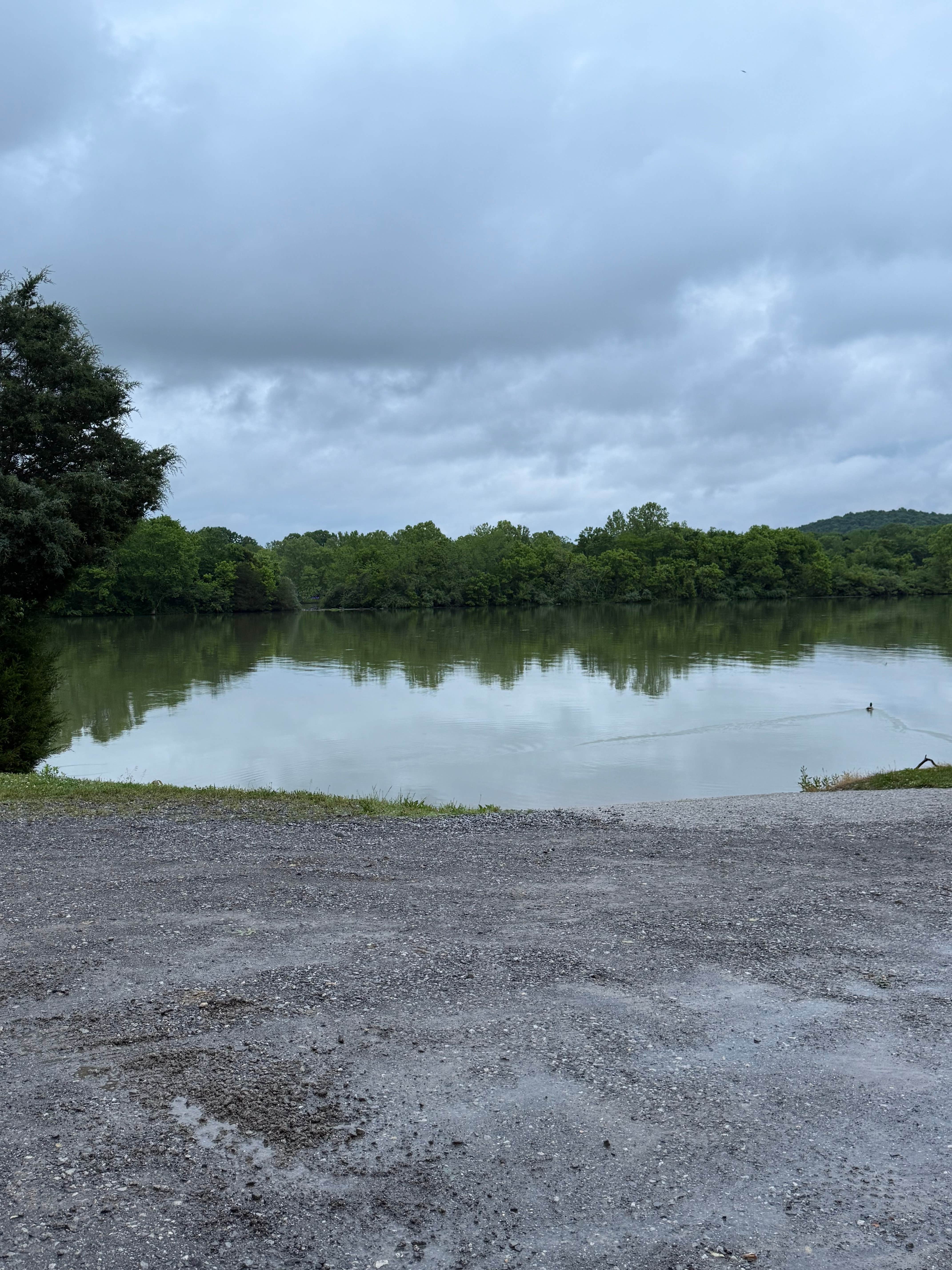 Camper submitted image from Holleman's Bend Camping Area - 2