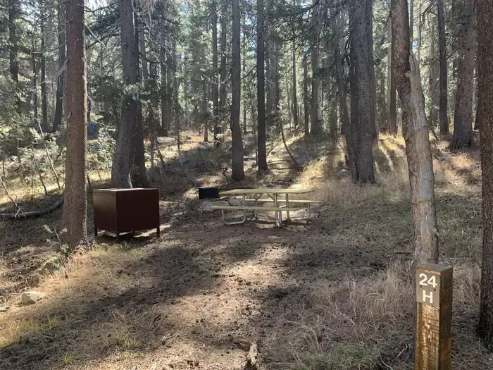 Camper-submitted photo at Tuolumne Meadows Campground — Yosemite National Park near Bridgeport, CA