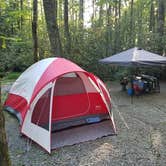 Review photo of Julian Price Park Campground — Blue Ridge Parkway by Myron C., August 9, 2019