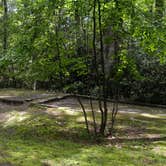 Review photo of Julian Price Park Campground — Blue Ridge Parkway by Myron C., August 9, 2019