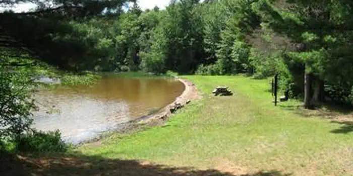 Camper submitted image from Marion Lake Group Site