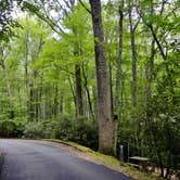 Review photo of Julian Price Park Campground — Blue Ridge Parkway by Myron C., August 9, 2019