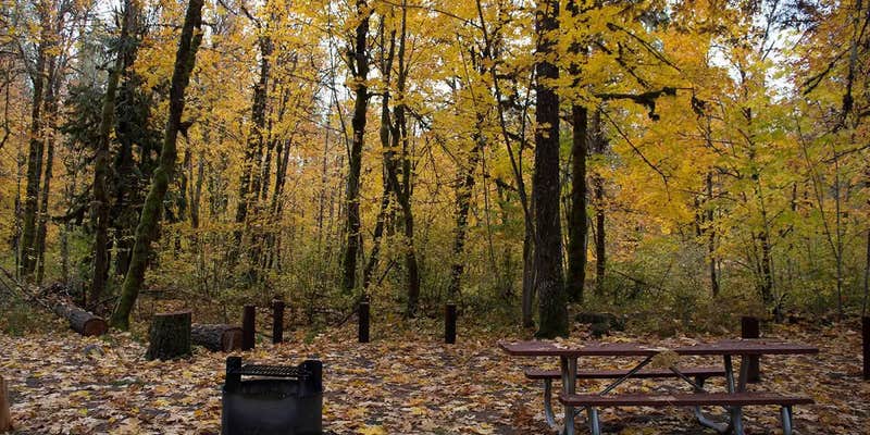 Camper submitted image from Beaver Campground