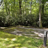 Review photo of Julian Price Park Campground — Blue Ridge Parkway by Myron C., August 9, 2019