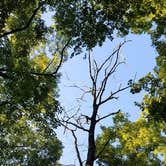 Review photo of Julian Price Park Campground — Blue Ridge Parkway by Myron C., August 9, 2019