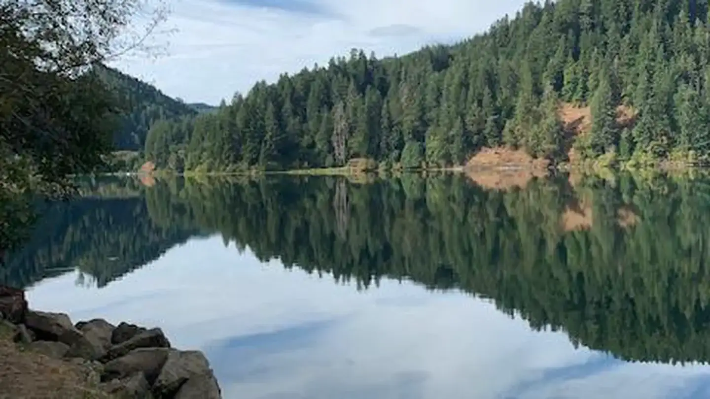 Camper-submitted photo at East Shore near Scottsburg, OR