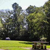 Review photo of Julian Price Park Campground — Blue Ridge Parkway by Myron C., August 9, 2019