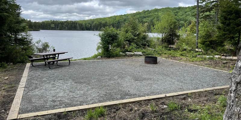 Camper submitted image from Grout Pond Campground — Green Mountain & Finger Lakes National Forests