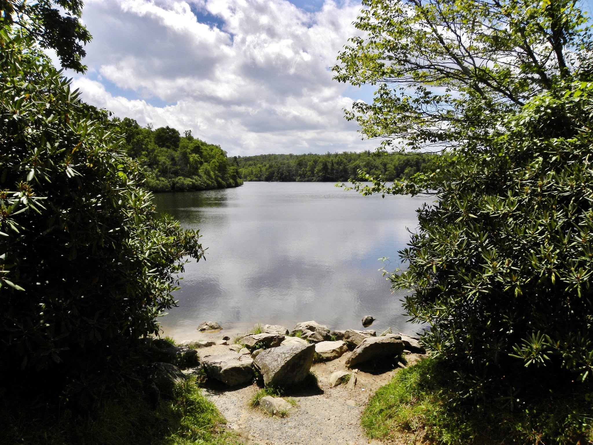 A View of the Lake from the Park