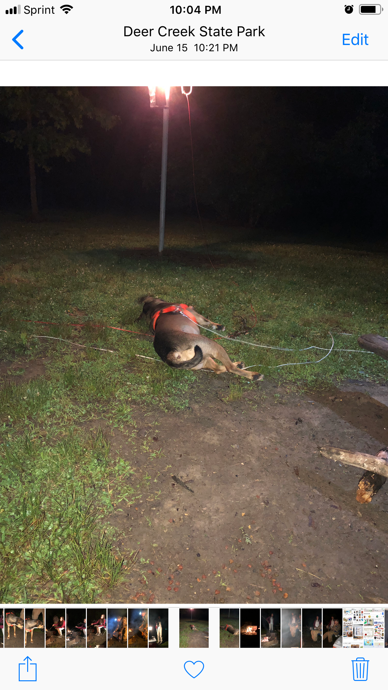 Melissa M.'s photo of camping with pets at Deer Creek State Park Campground near Paint Creek Lake