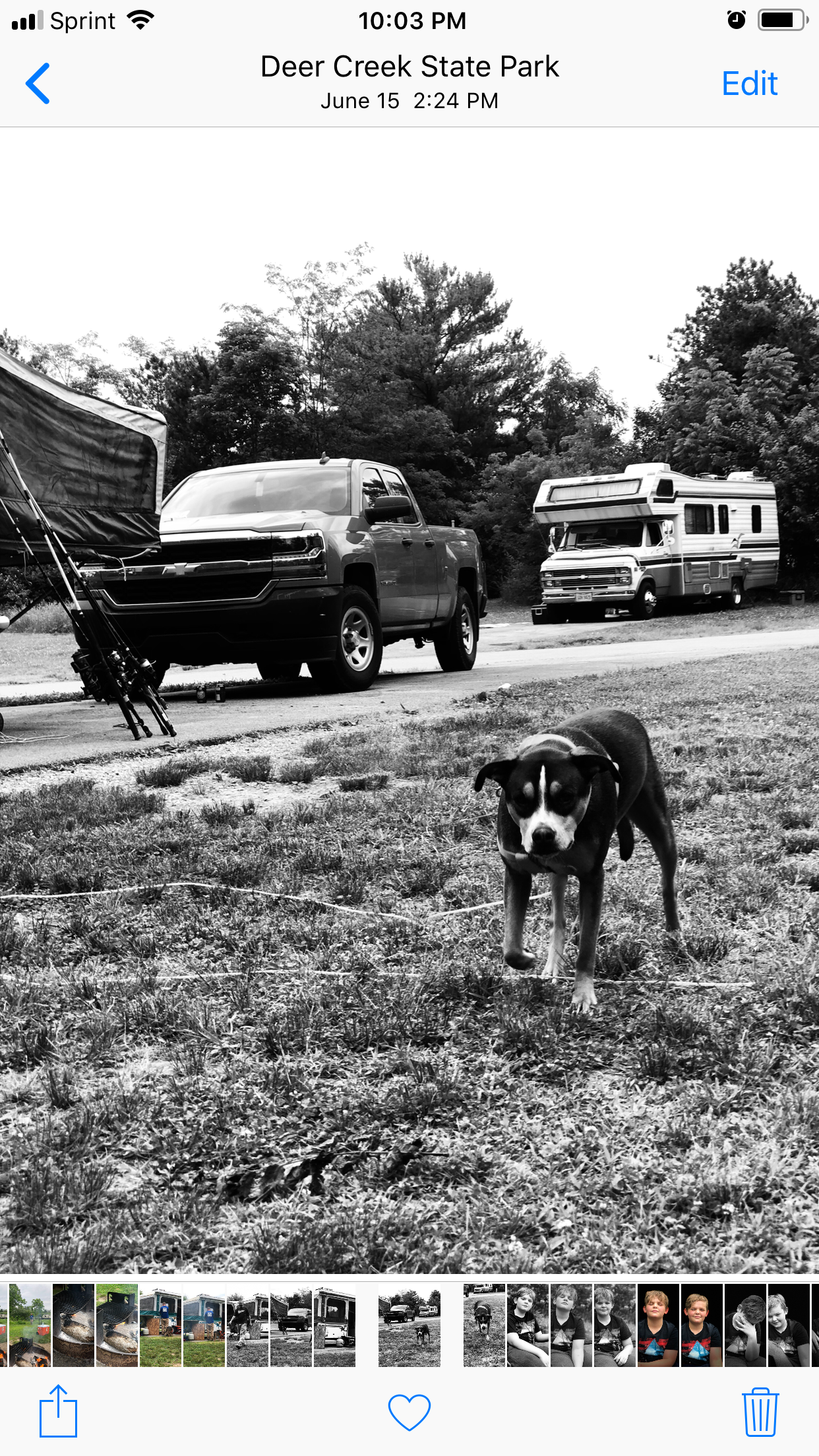 Melissa M.'s photo of camping with pets at Deer Creek State Park Campground near Galloway, OH