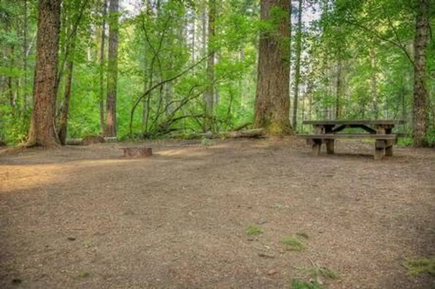 Camper-submitted photo at Oklahoma Campground near Trout Lake, WA