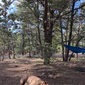Review photo of Mather Campground — Grand Canyon National Park by Kayla H., August 9, 2019
