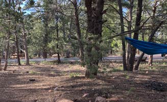 Kayla H.'s photo of camping with pets at Mather Campground — Grand Canyon National Park near Grand Canyon, AZ